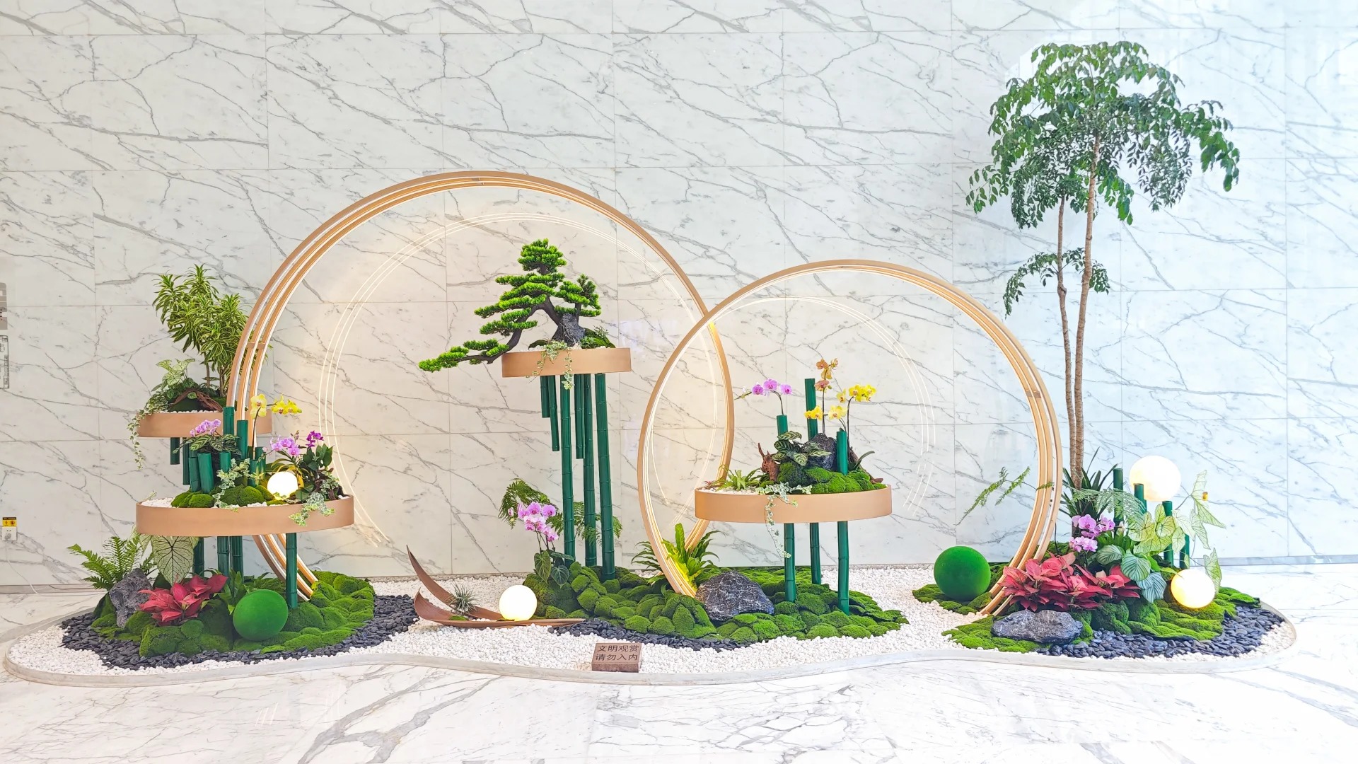 专业盆景租摆,宁波镇海的绿色空间营造专家!