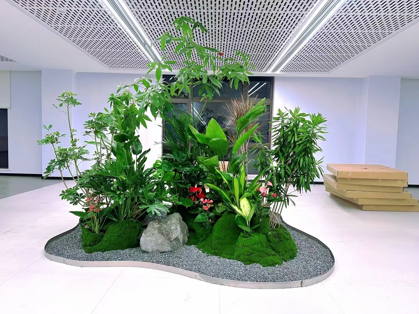 专业盆景租摆,宁波镇海的绿色空间营造专家!